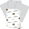 Hammermill® Colors Color Multi-Use Printer & Copy Paper, 10 Reams, Gray, Letter (8.5" x 11"), 5000 Sheets Per Case, 20 Lb