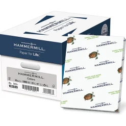 Hammermill® Colors Color Multi-Use Printer & Copy Paper, 10 Reams, Gray, Letter (8.5