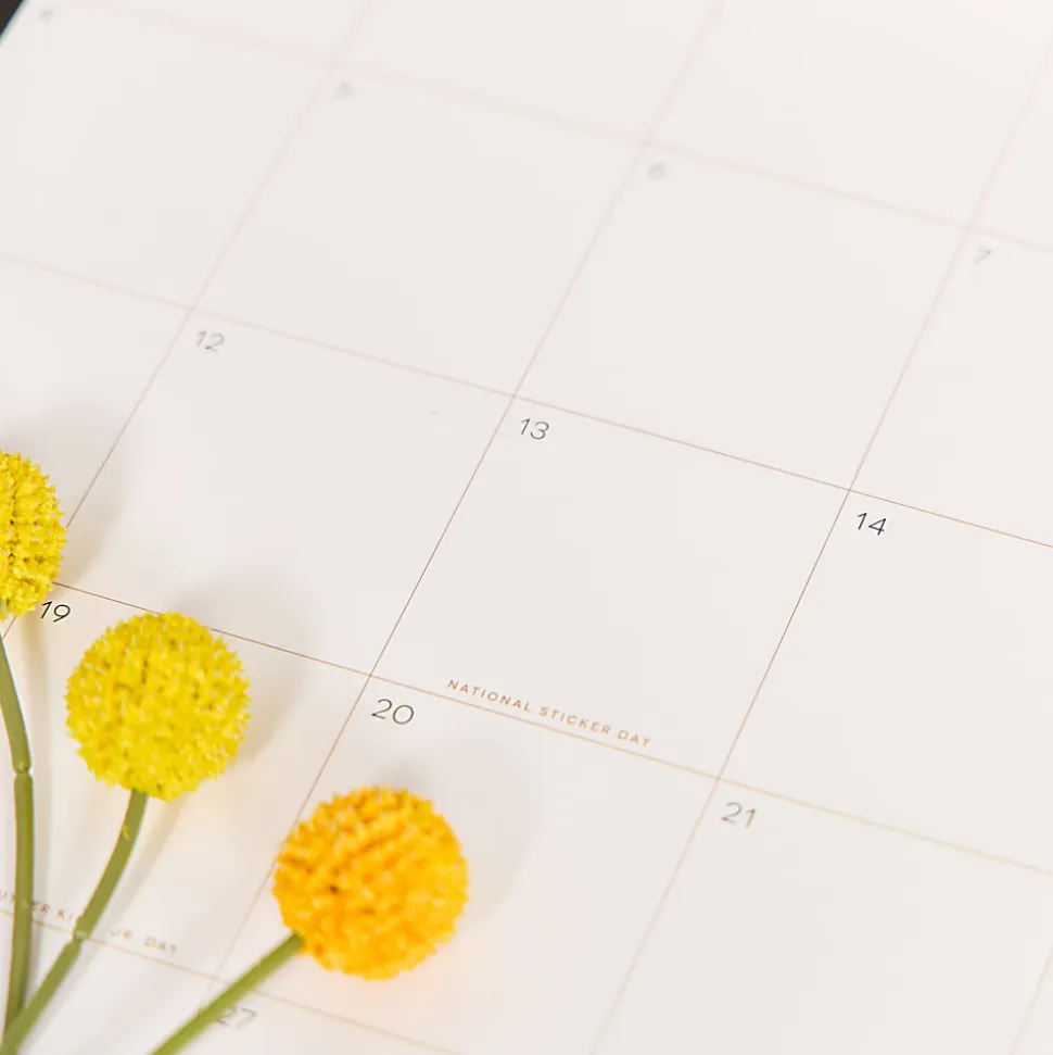 2026 Happy Planner 12-Month Desk Calendar, 22” x 17”, Mod Silhouette, January To December, CD00212003