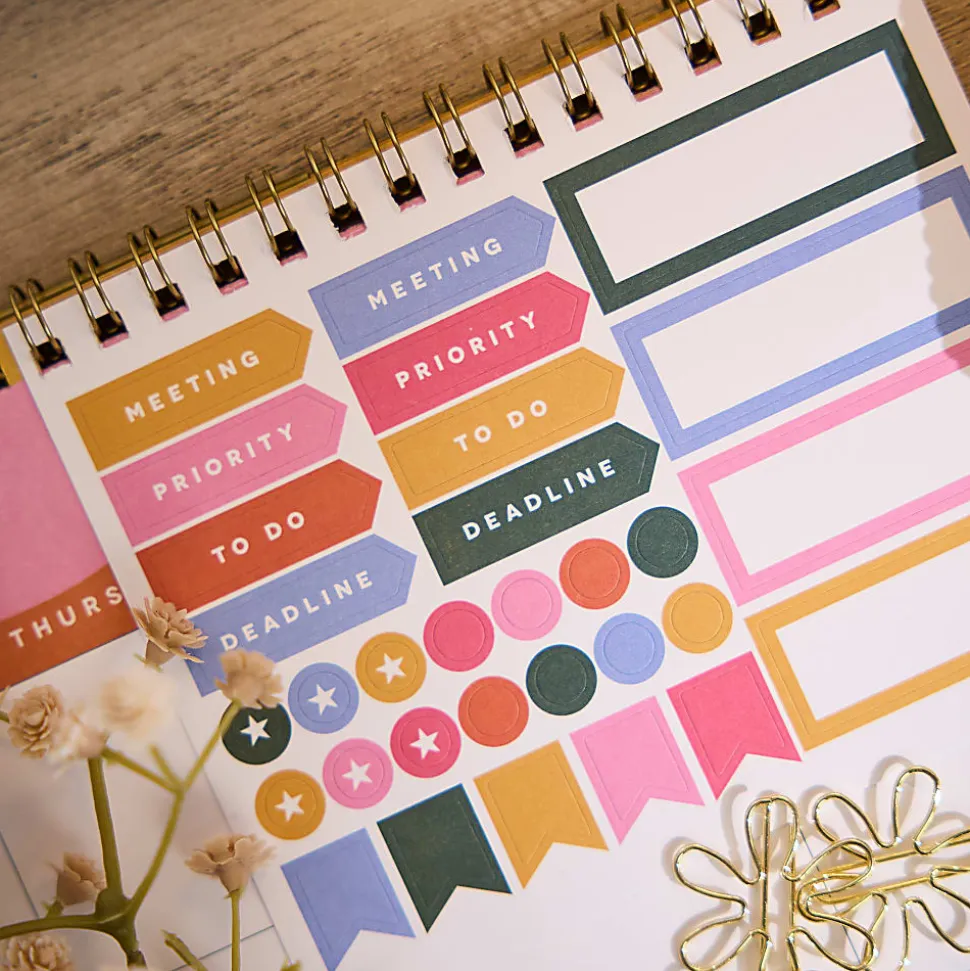 Happy Planner Organized 12-Month Wall Calendar, 14” x 12”, Color Form, July 2026 To June 2027, CWDS12-002, Total Qty 1