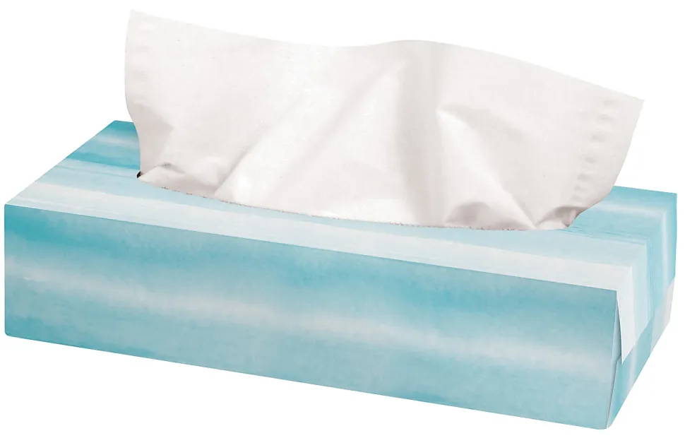 Highmark® 2-Ply Facial Tissue, Flat Box, White, 100 Tissues Per Box, Case Of 30 Boxes