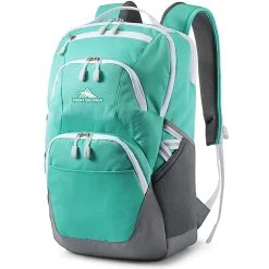 High Sierra Swoop Backpack With 17