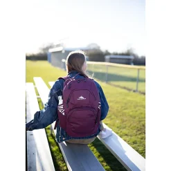 High Sierra Swoop Laptop Backpack With 17