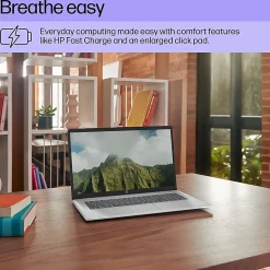 HP 17.3