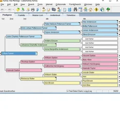 Individual Software Family Tree Heritage Gold 16 (Windows)