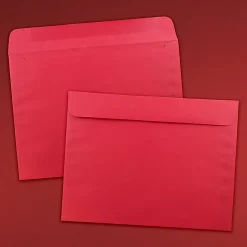 JAM Paper® Booklet Envelopes, 9