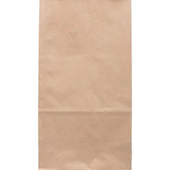 JAM Paper® Kraft Lunch Bags, Large, 11 x 6 x 3 3/4, Brown, Pack Of 25 Bags