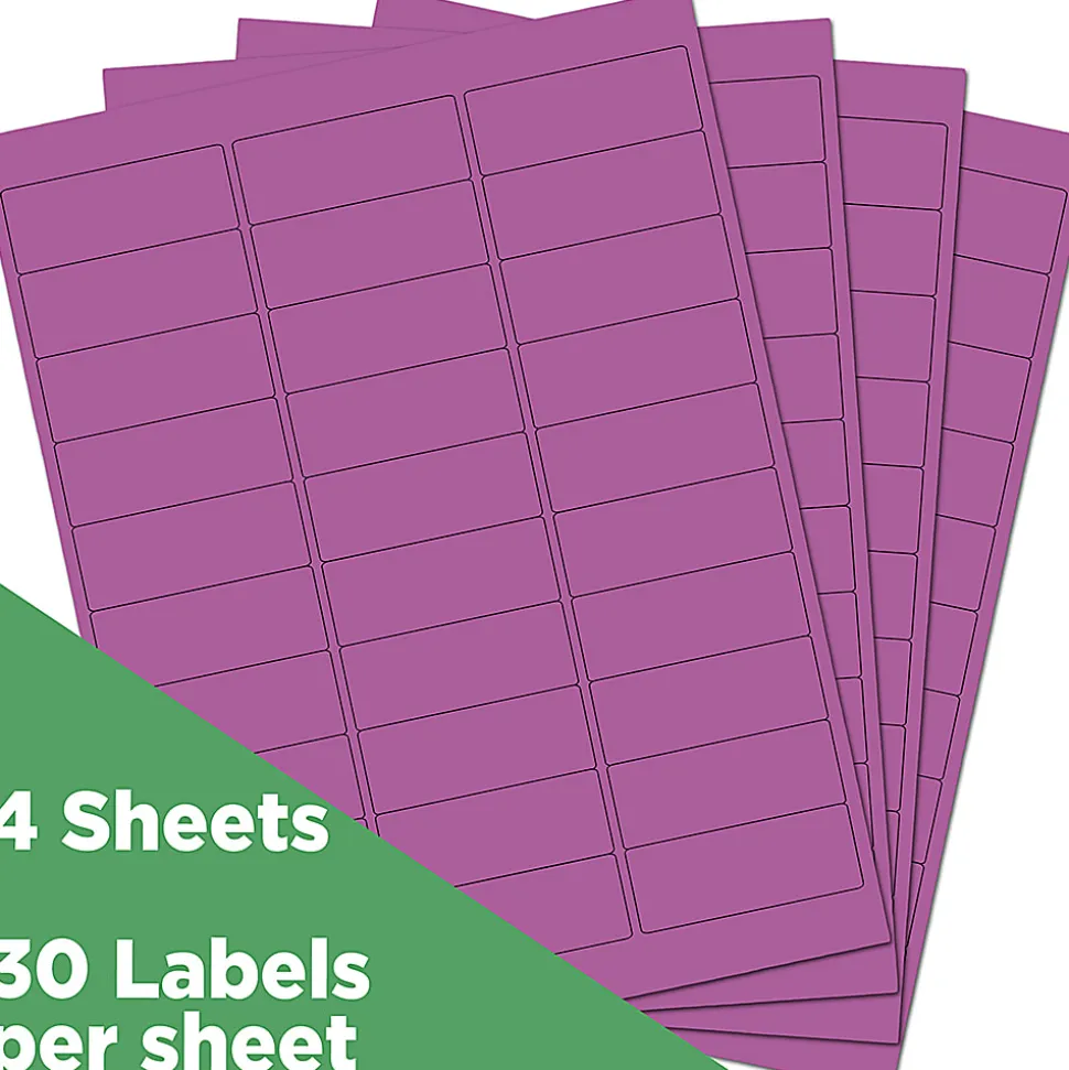 JAM Paper® Mailing Address Labels, Rectangle, 2 5/8" x 1", Purple, Pack Of 120