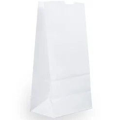 JAM Paper® Medium Kraft Lunch Bags, 9 3/4 x 5 x 3, White, Pack Of 25 Bags