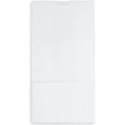 JAM Paper® Medium Kraft Lunch Bags, 9 3/4 x 5 x 3, White, Pack Of 25 Bags