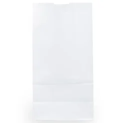 JAM Paper® Medium Kraft Lunch Bags, 9 3/4 x 5 x 3, White, Pack Of 25 Bags