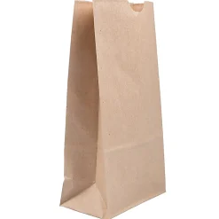 JAM Paper® Medium Kraft Lunch Bags, Brown, 5 x 9 3/4 x 3, Pack Of 25 Bags