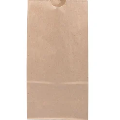 JAM Paper® Medium Kraft Lunch Bags, Brown, 5 x 9 3/4 x 3, Pack Of 25 Bags