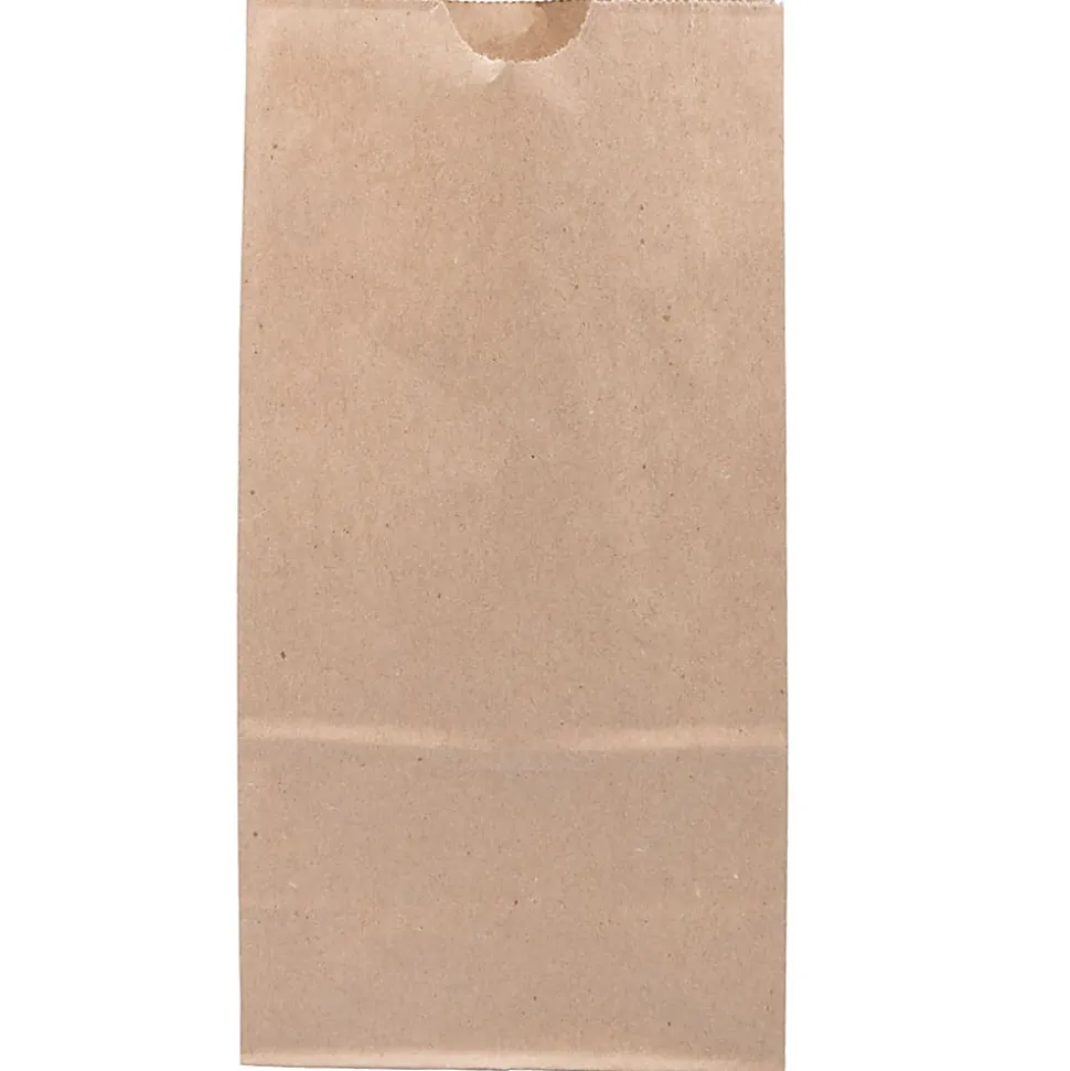 JAM Paper® Medium Kraft Lunch Bags, Brown, 5 x 9 3/4 x 3, Pack Of 25 Bags