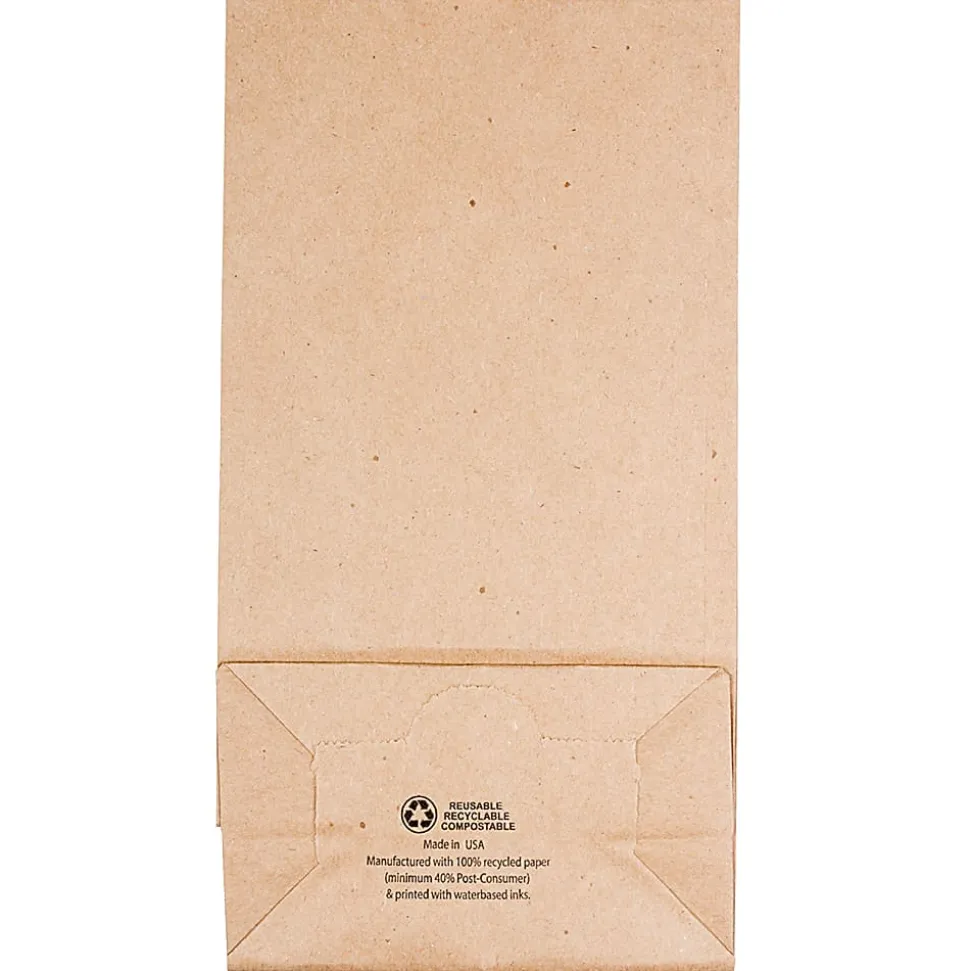 JAM Paper® Medium Kraft Lunch Bags, Brown, 5 x 9 3/4 x 3, Pack Of 25 Bags