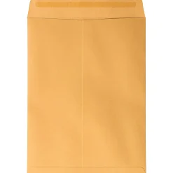 JAM Paper® Open End Envelopes, 9