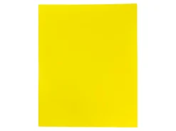 JAM Paper® Plastic 2-Pocket POP Folders, 9 1/2