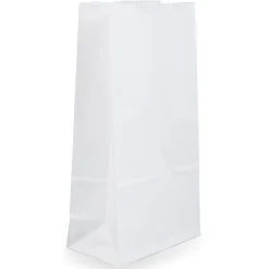 JAM Paper® Small Kraft Lunch Bags, 4-1/8" x 8" x 2-1/4", White, Pack Of 25 Bags