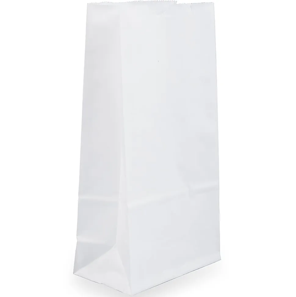 JAM Paper® Small Kraft Lunch Bags, 4-1/8" x 8" x 2-1/4", White, Pack Of 25 Bags