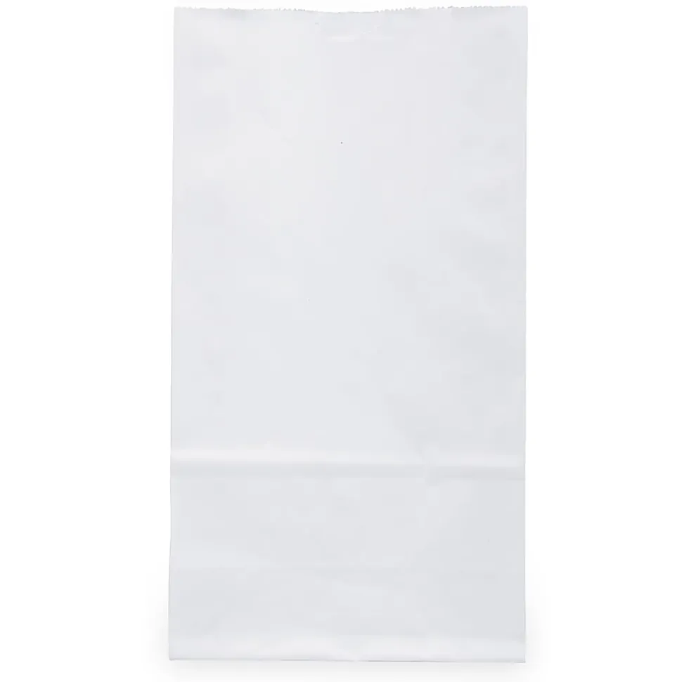 JAM Paper® Small Kraft Lunch Bags, 4-1/8" x 8" x 2-1/4", White, Pack Of 25 Bags