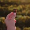 Lexar® Gold Professional 2000x Class 10/UHS-II SDHC/SDXC Memory Card, 128GB, LSD2000128G-BNNNU