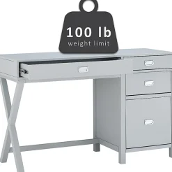 Linon Ari 48"W Home Office Writing Desk With Side Storage, Gray/Silver