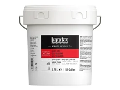 Liquitex Professional - Gel medium - gel - for acrylic paint - transparent - gloss - 1 gal