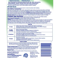 Lysol® All-Purpose Cleaner With Bleach, 32 Oz Bottle