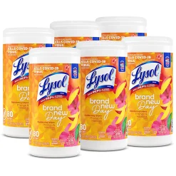 Lysol Brand New Day Disinfecting Wipes - Mango and Hibiscus Scent - 80 / Canister - 6 / Carton - White