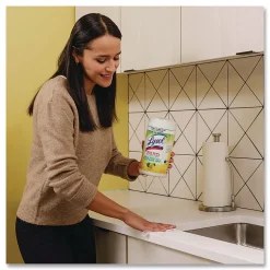 LYSOL®Disinfecting Wipes II Fresh Citrus, 1-Ply, 7 x 7.25, White, 70 Wipes/Canister, 6 Canisters/Carton