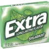 Mars Spearmint Flavored Chewing Gum - Spearmint - 10 / Box