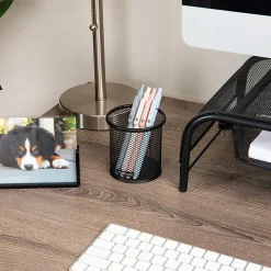 Mind Reader Pen and Accessories Holder 3-3/4