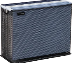 Mind Reader Vertical File Storage Basket, 10”H x 5-1/2”W x 12-1/4”D, Black
