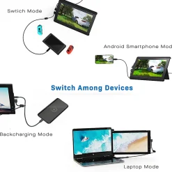 Mobile Pixels Trio - LCD monitor - 12.5