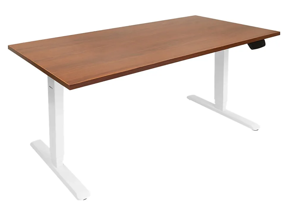 Mount-It! Dual-Motor Electric Standing Desk With Adjustable Height And 55"W Tabletop, Brown