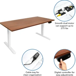 Mount-It! Dual-Motor Electric Standing Desk With Adjustable Height And 55