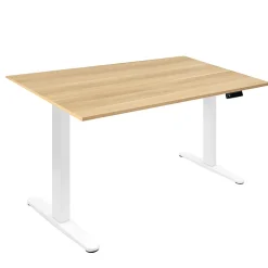 Mount-It! Electric Standing Desk With Adjustable Height And 55