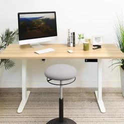 Mount-It! Electric Standing Desk With Adjustable Height And 55