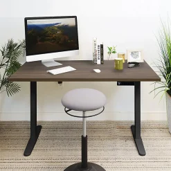 Mount-It! Electric Standing Desk With Adjustable Height And 55