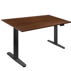Mount-It! Electric Standing Desk With Adjustable Height And 55