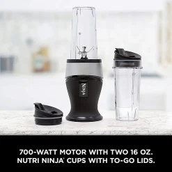 Ninja QB3001SS Nutri-Ninja Fit, 16 Oz, Silver/Black