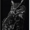 Norma Notebook, College Rule, 7-1/2" x 9-3/4", 100 Sheets, Deep Dark, Total Qty 1