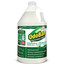 OdoBan® Multi-Purpose Deodorizer & Disinfectant Concentrate, Eucalyptus Scent, 128 Oz Bottle