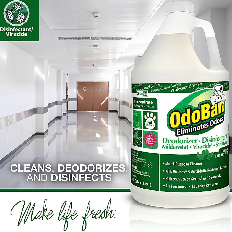 OdoBan® Multi-Purpose Deodorizer & Disinfectant Concentrate, Eucalyptus Scent, 128 Oz Bottle