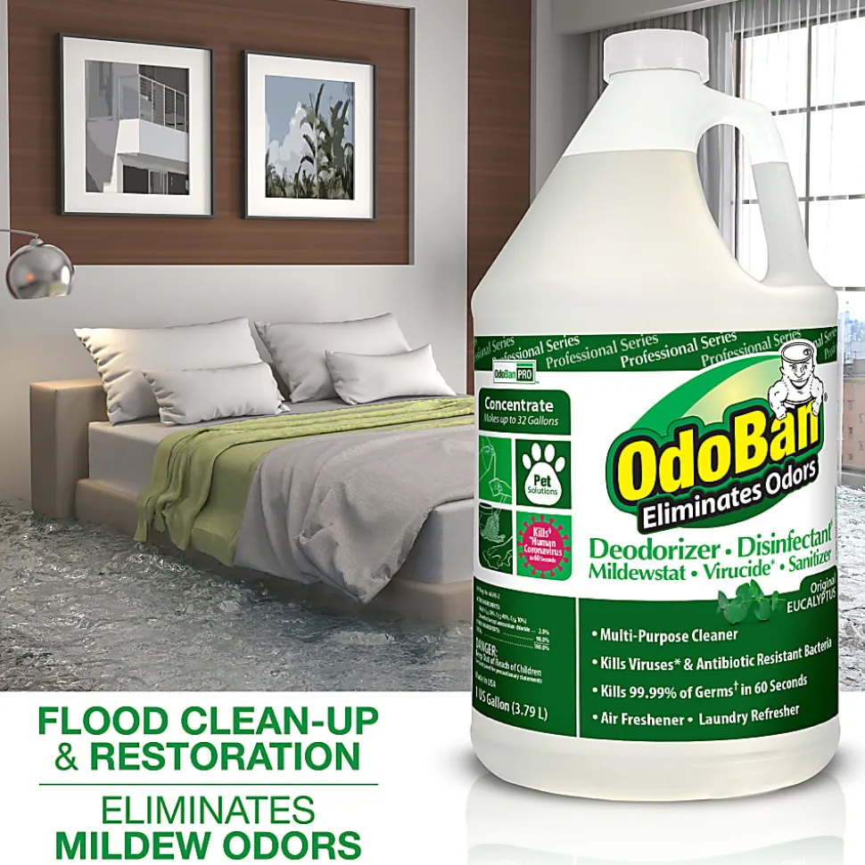 OdoBan® Multi-Purpose Deodorizer & Disinfectant Concentrate, Eucalyptus Scent, 128 Oz Bottle