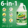 OdoBan® Odor Eliminator Disinfectant Concentrate, Original Eucalyptus Scent, 128 Oz Bottle, Case Of 4