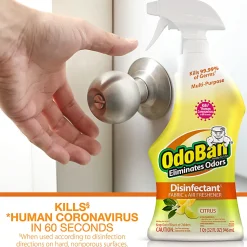 OdoBan Odor Eliminator Disinfectant Spray, Citrus Scent, 32 Oz Bottle