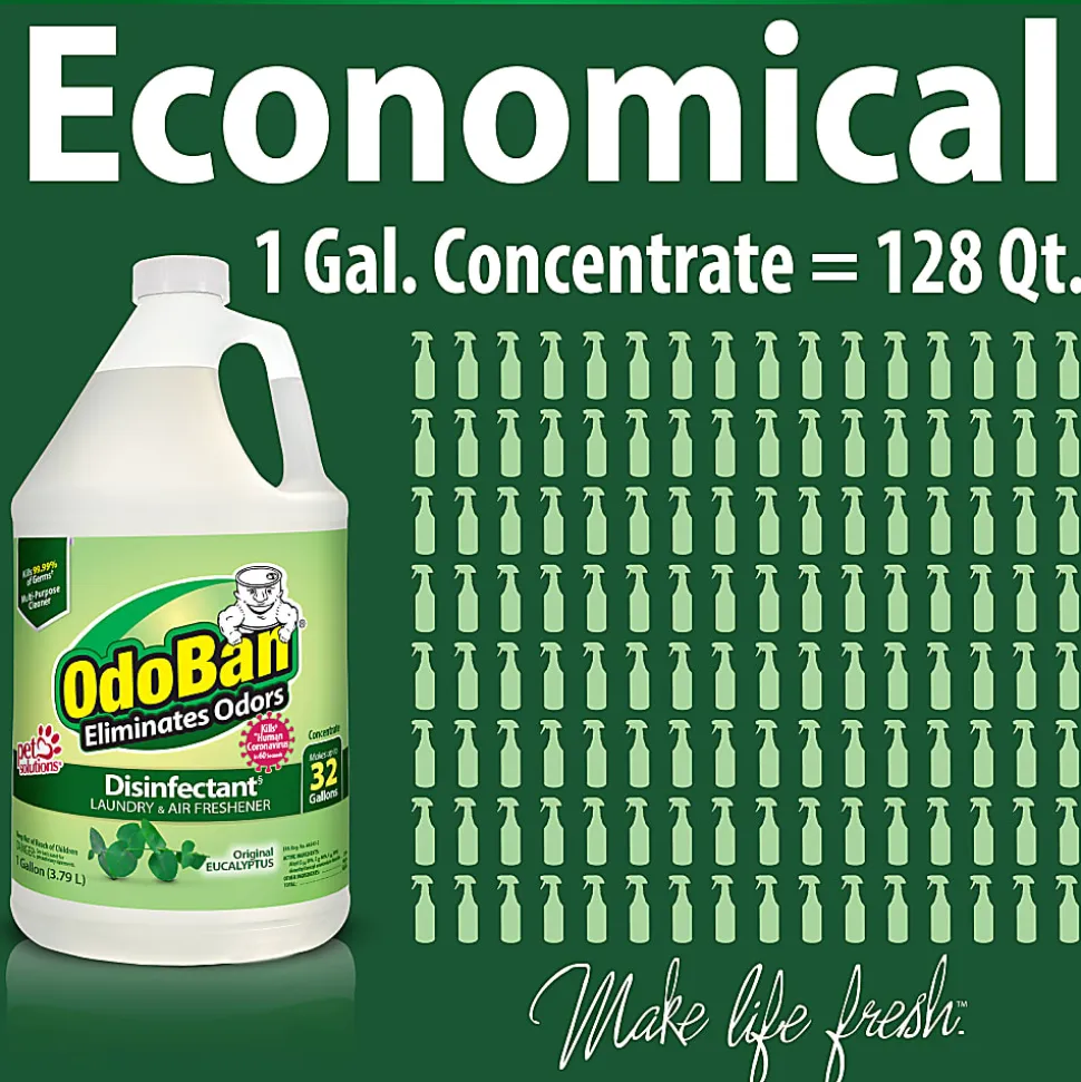 OdoBan Odor Eliminator Disinfectant, 1 Gallon Concentrate and 32 Oz Spray Bottle, Original Eucalyptus Scent