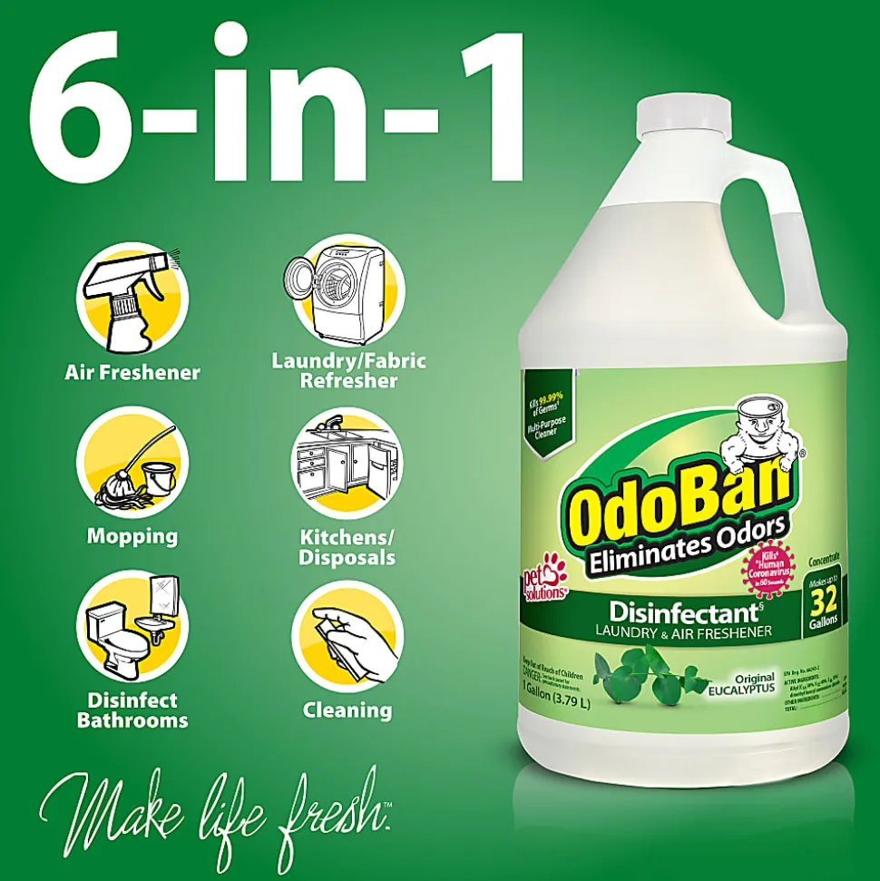 OdoBan Odor Eliminator Disinfectant, 1 Gallon Concentrate and 32 Oz Spray Bottle, Original Eucalyptus Scent