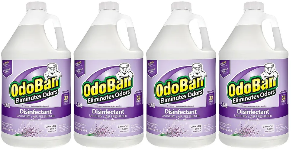 OdoBan® Odor Eliminator Disinfectant Concentrate, Lavender Scent, 128 Oz Bottle, Case Of 4